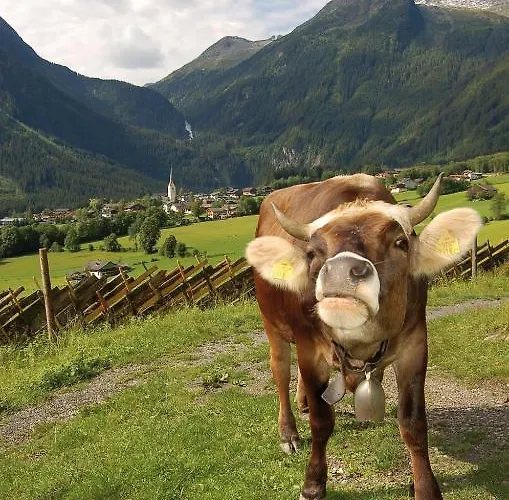 Guest house Sonne - Only