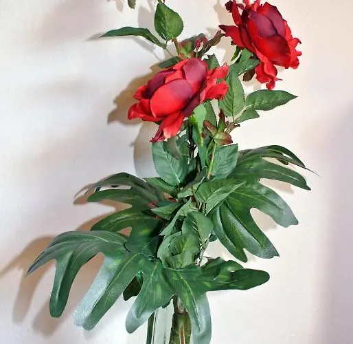 Sonne - Only Guest house 3*