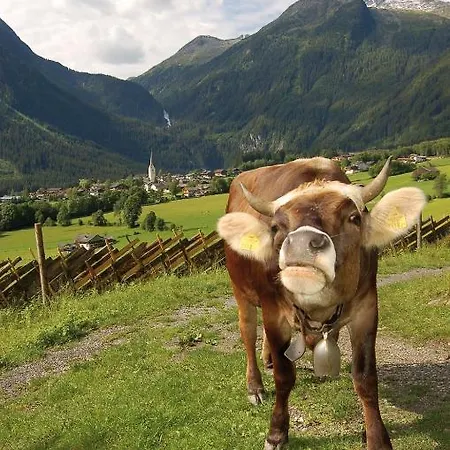 Konukevi Sonne - Only