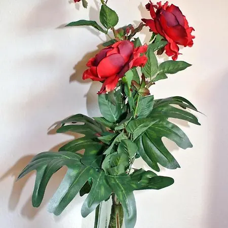 Sonne - Only Konukevi 3*